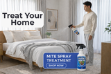 Man spraying mattress with mite spray for scabies treatment to eliminate mites from bedding and home